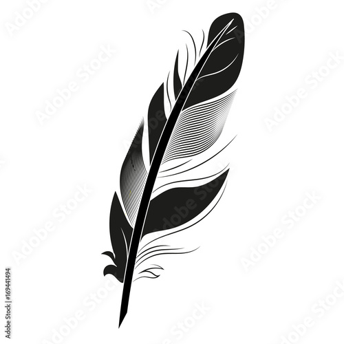 Black feather on white background graphic bird calligraphy vintage pen wing drawing art element vector illustration