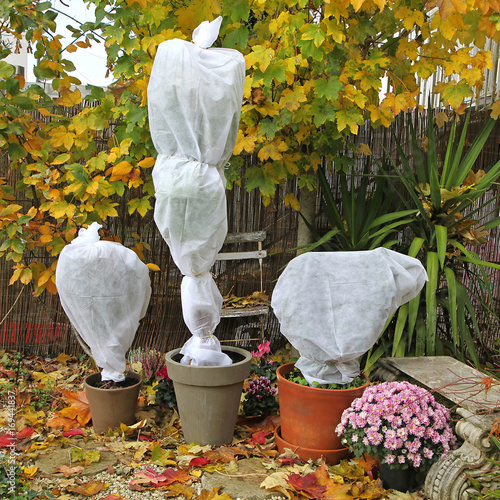 Cuadro en lienzo Voile d'hivernage sur plantes en pots