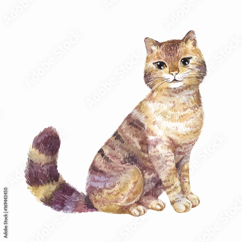 Watercolor cute cat, vector illustration