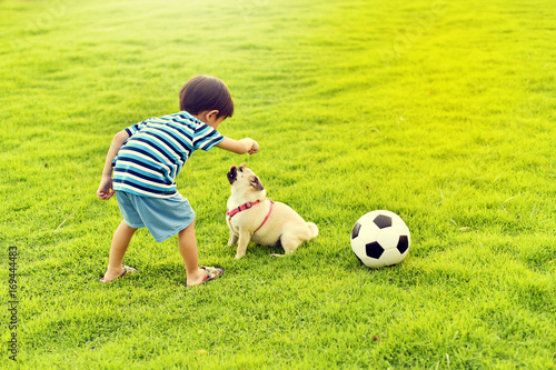 Fototapeta Szczęśliwy azjatycki chłopiec bawi się ze swoim psem w ogrodzie