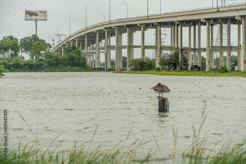 Flooded Kemah during Hurricane Harvey  photo