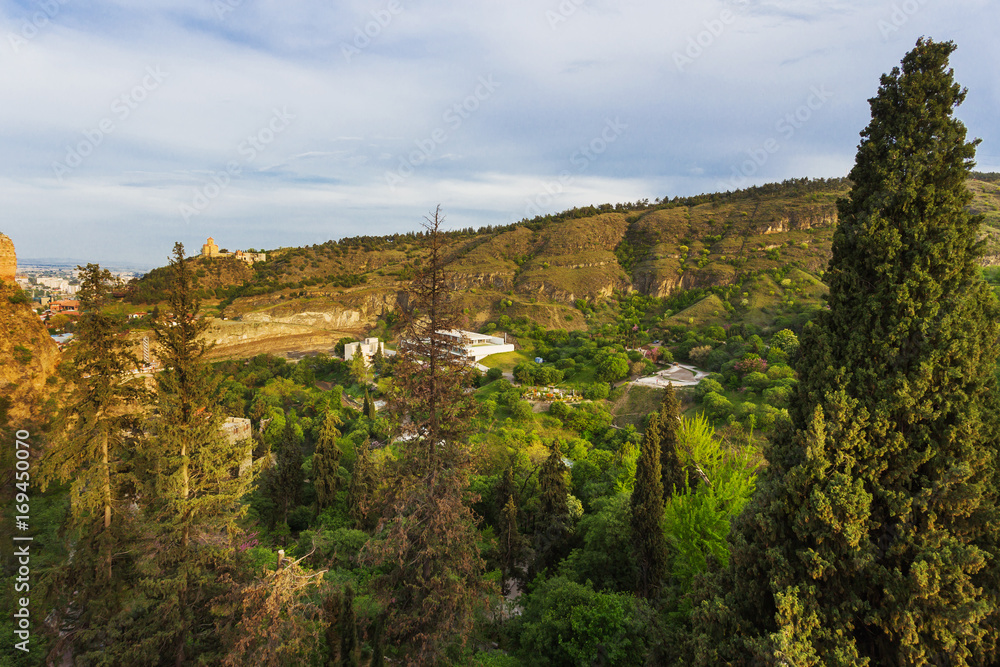 Tbilisi Botanical Garden, panorama view on forest from Narikala fortress. Georgia country.