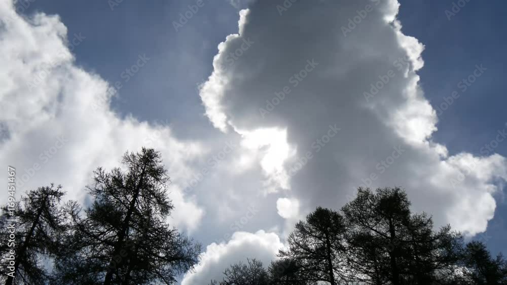 Nuvole sul bosco time lapse Nuvole sul bosco time lapse