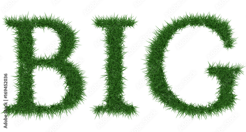 Big - 3D rendering fresh Grass letters isolated on whhite background. Big - 3D rendering fresh Grass letters isolated on whhite background.