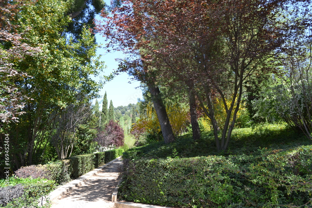 Fototapeta premium La Alhambra, Granada