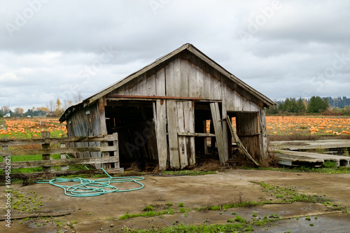 Outbuilding on pumpkin farm