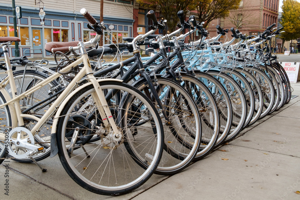 Rental bicycles