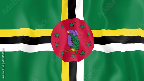 Animated flag of Dominica in slow motion photo