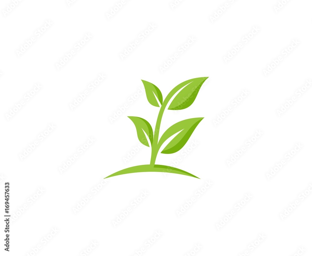 Fototapeta premium Plant logo