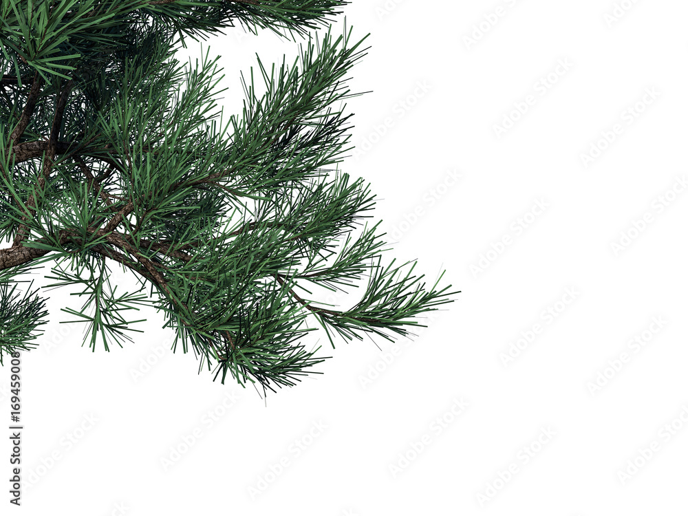 3d rendering of a foreground tree branch isolated on white background