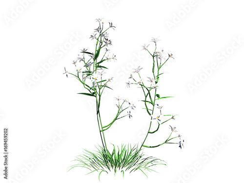 3d rendering of flower bush isolated on white can be used for foreground design