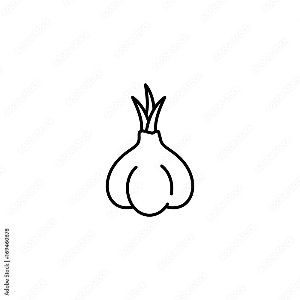 Garlic thin line vector icon. Isolated condiment linear style for menu, label, logo. Detailed vegetarian food sign.
