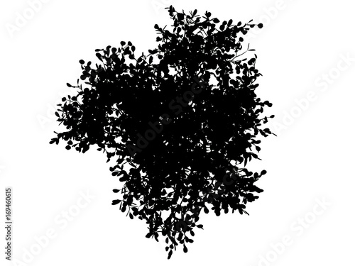 3d rendering of a silhouette tree isolated on white background
