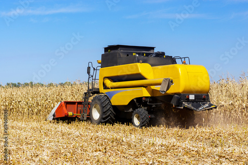 Harvesting corn