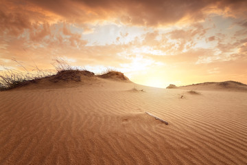 Poster Woestijnlandschap Kleurrijke zonsondergang boven zandduin  © ml1413