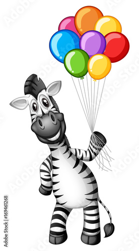 Cute zebra holding colorful balloons
