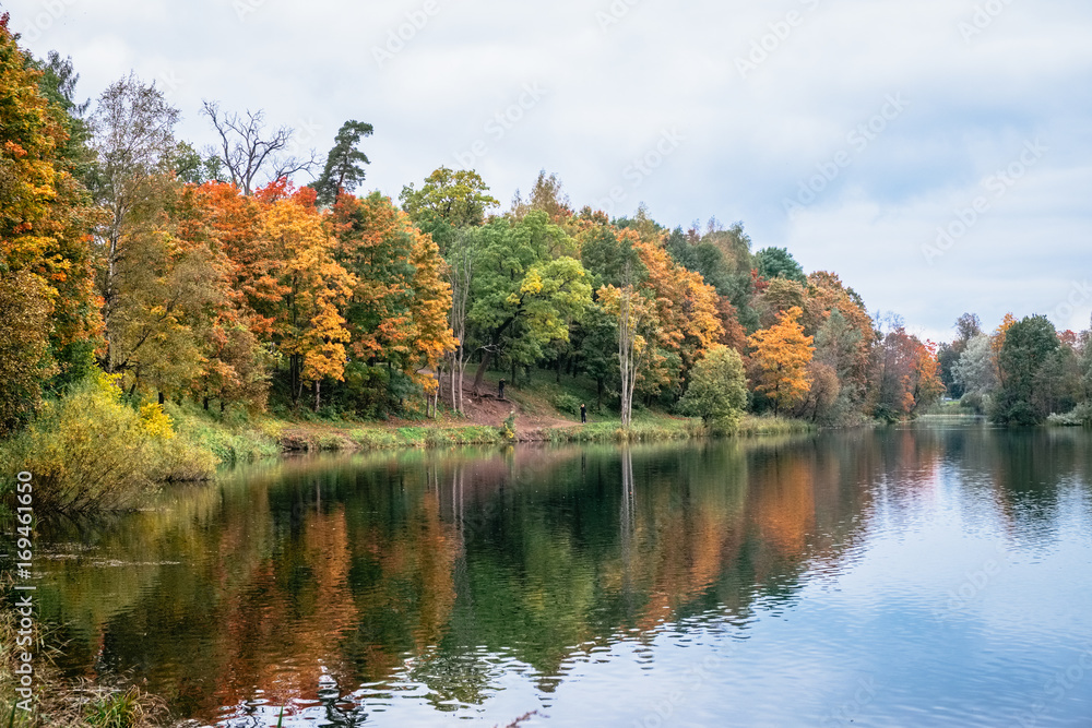 Beautiful autumn forest landscape near the lake and idyllic trees reflection. Yellow, orange and golden foliage of a woods trees. Outdoor park landscape at a fall, orange autumn tranquility Beautiful autumn forest landscape near the lake and idyllic trees reflection. Yellow, orange and golden foliage of a woods trees. Outdoor park landscape at a fall, orange autumn tranquility