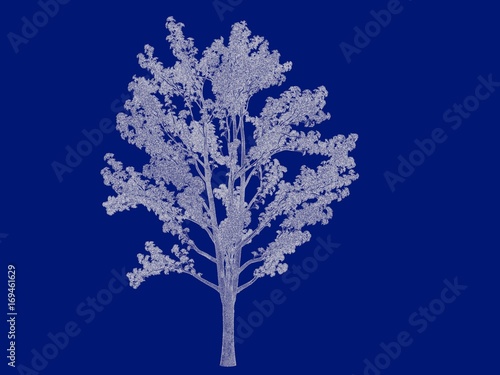 3d rendering of an outlined tree blueprint isolated on blue background © Archmotion.net