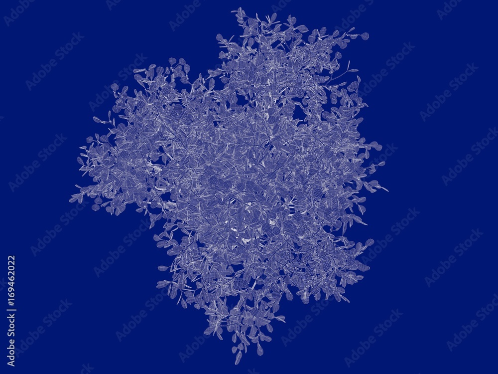 Fototapeta premium 3d rendering of an outlined tree blueprint isolated on blue background