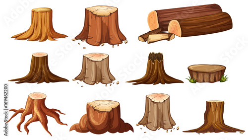 Different shapes of stump trees