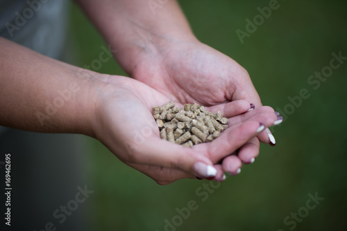 Hand full of food pellets