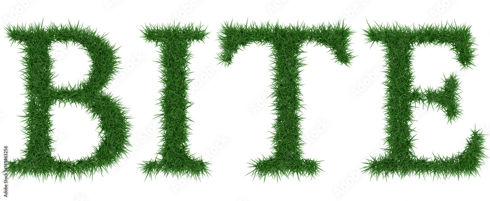 Bite - 3D rendering fresh Grass letters isolated on whhite background. Bite - 3D rendering fresh Grass letters isolated on whhite background.
