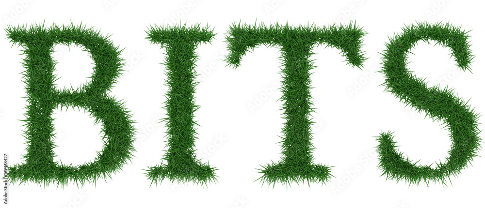 Bits - 3D rendering fresh Grass letters isolated on whhite background. Bits - 3D rendering fresh Grass letters isolated on whhite background.