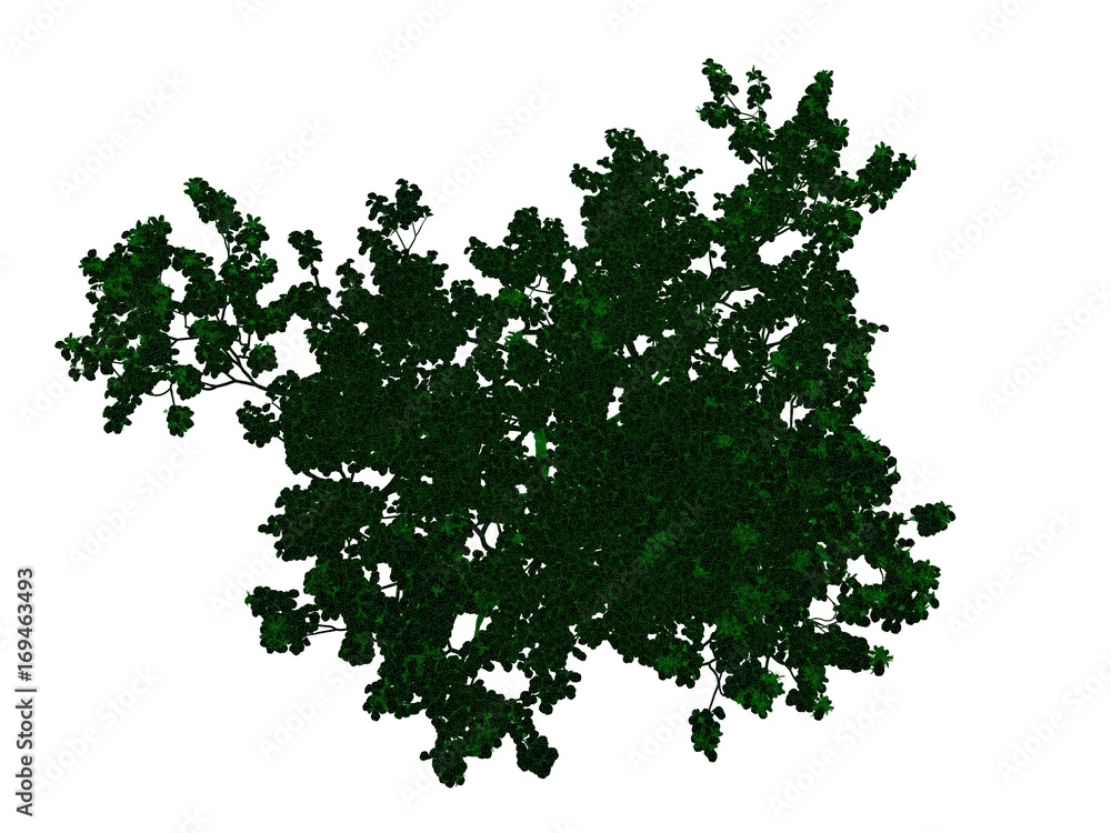 Naklejka premium 3d rendering of an outlined black tree with green edges isolated on white background