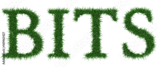 Bits - 3D rendering fresh Grass letters isolated on whhite background.