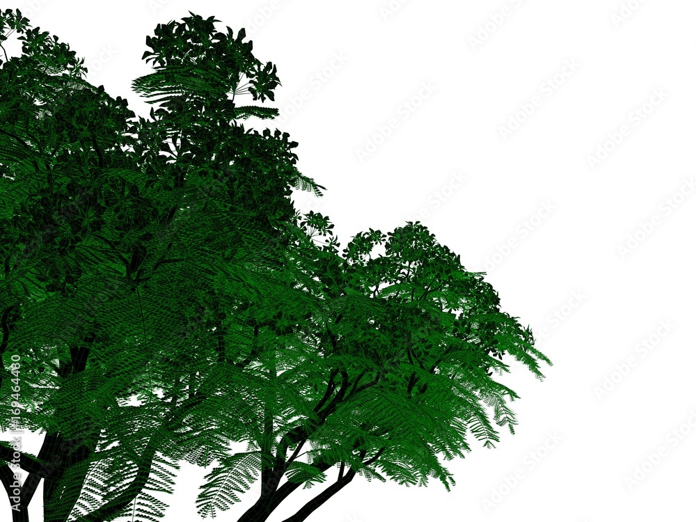 Fototapeta premium 3d rendering of an outlined black tree with green edges isolated on white background