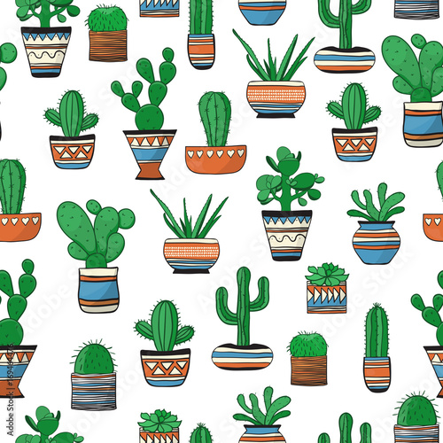Seamless colored pattern with succulents . Cute vector background