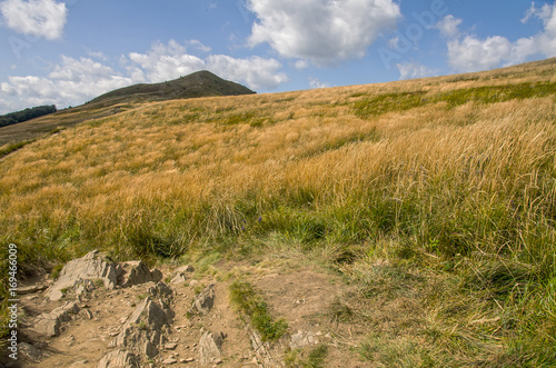 National park Bieszczady, Polonina Carynska, Poland.