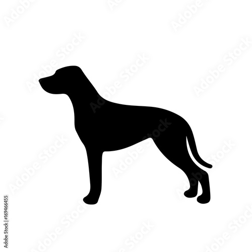 Black and white silhouette of a dog. Pointer or Pinscher.