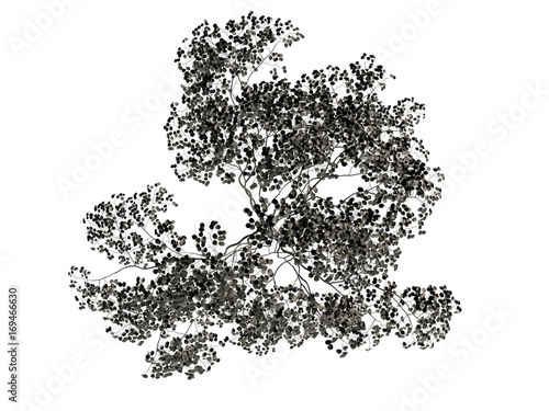 3d rendering of a silver tree isolated on a white background