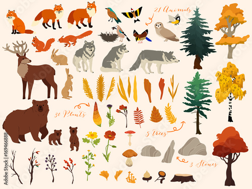 Set of cute autumn forest elements - animals, trees and other. Vector decorative cute illustration for design
