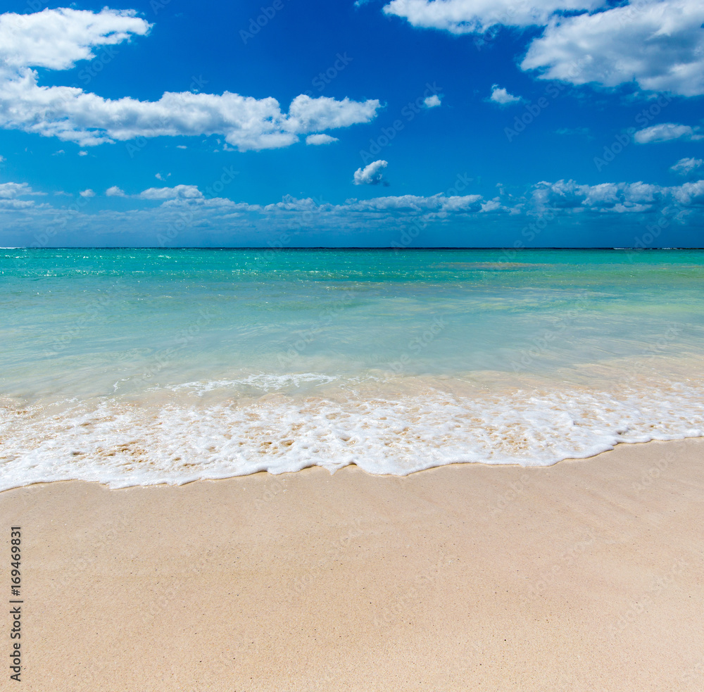 Fototapeta premium tropical beach in Maldives