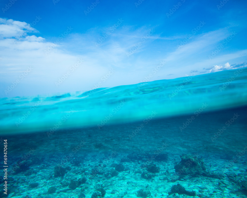 tropical sea tropical sea