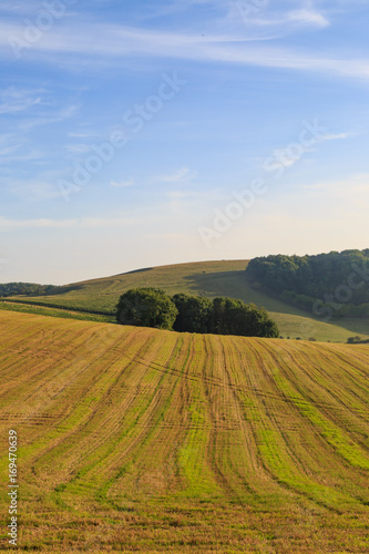 Sussex Landscape