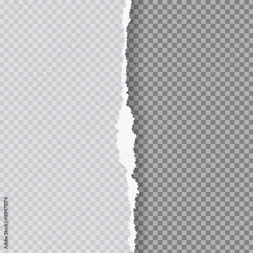Torn paper with ripped edge