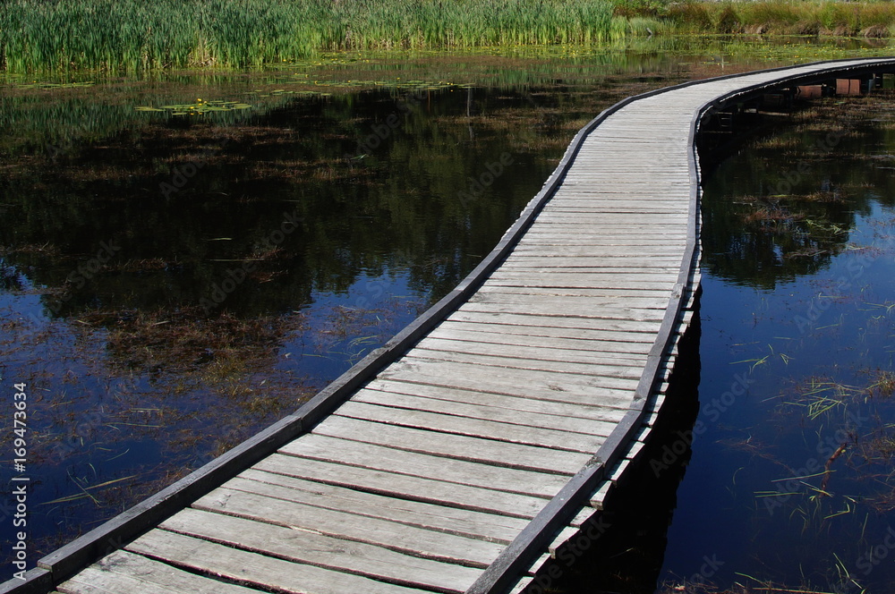 Peaceful path  - mindful boardwalk