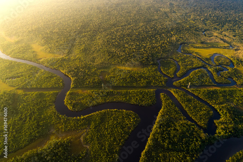 Amazon Rainforest in Brazil photo