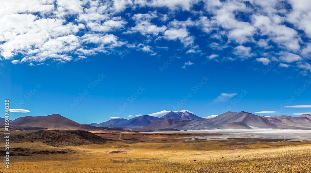 View on Altiplano Lagoon Salar de Talar in Chile by San Pedro de Atacama