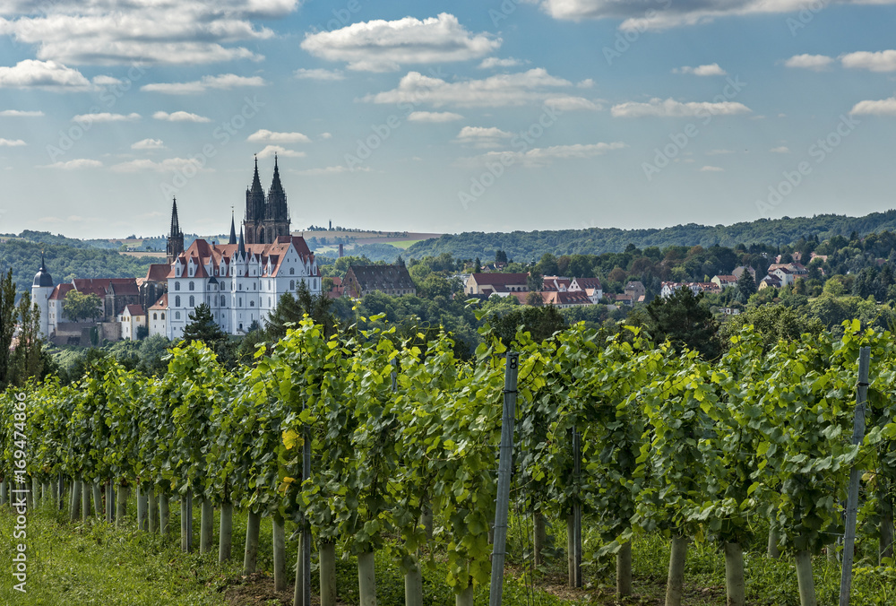 Die Albrechtsburg in der Stadt Meißen