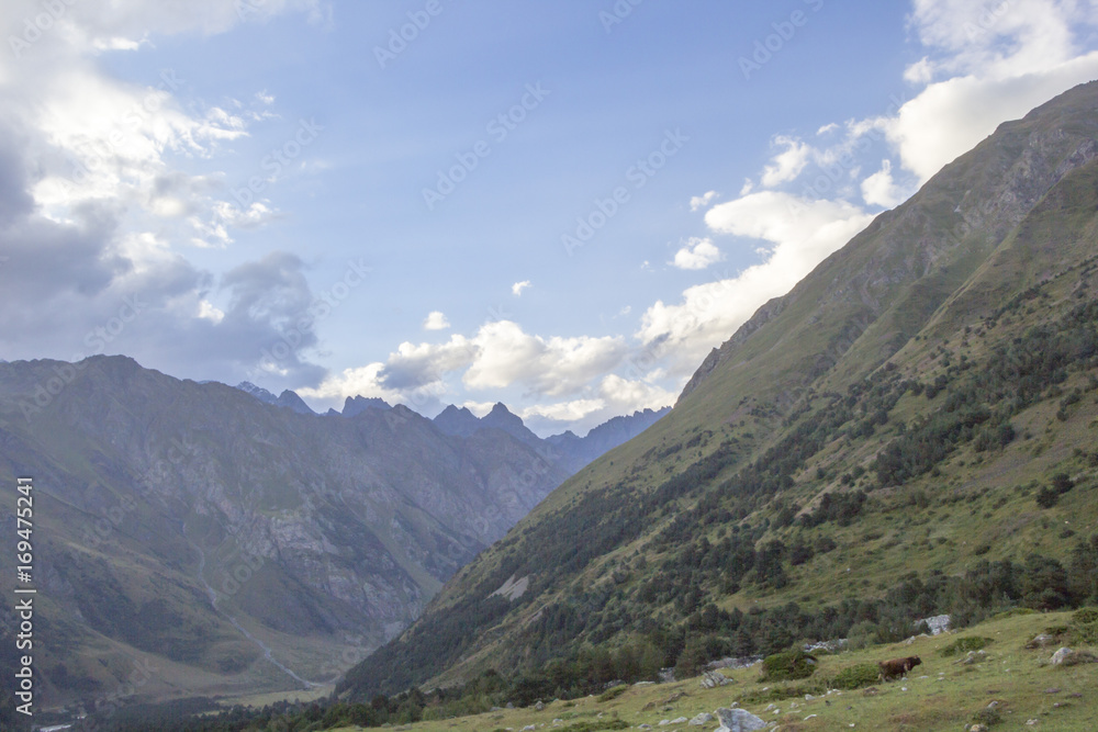 Горный пейзаж. Красивый вид на живописное ущелье, облачное небо над высокими горами. Природа Северного Кавказа