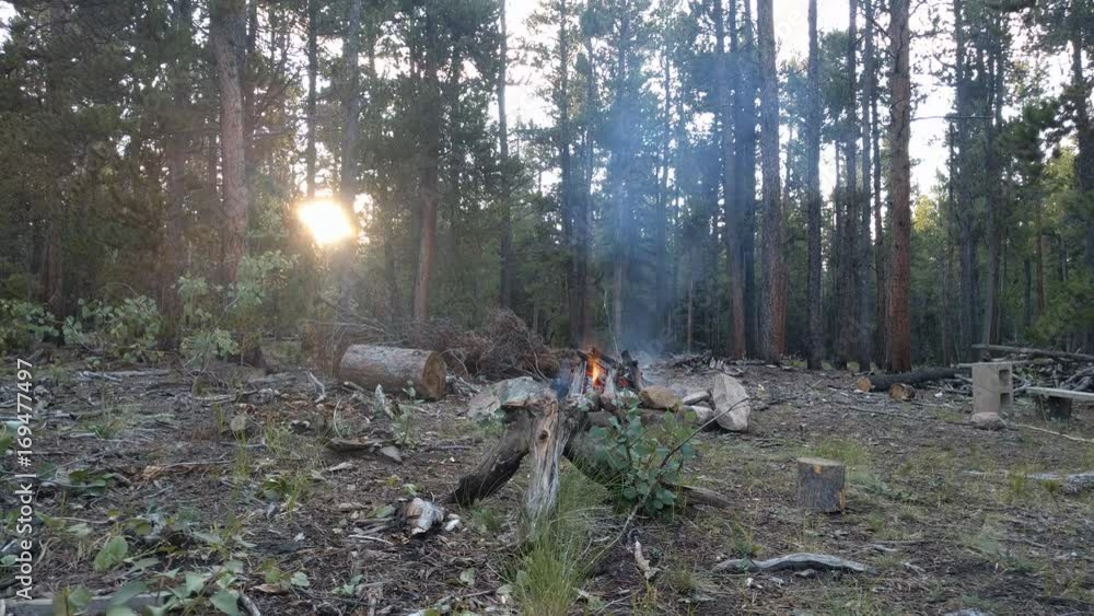 Burning forest wood in hand made fire pit at camp side in pine forest with sunset behind trees in time lapse. Burning forest wood in hand made fire pit at camp side in pine forest with sunset behind trees in time lapse.