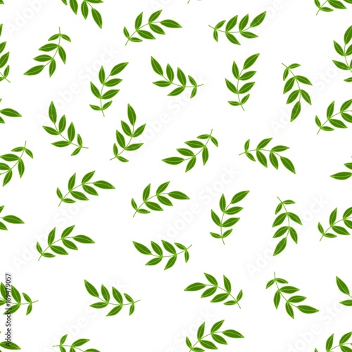 Seamless pattern of tropical leaves for design fabric Wallpaper  labels  gift wrappers  clothing. Vector illustration on a white background.