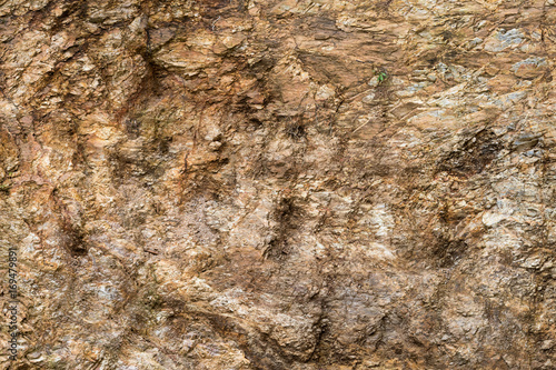 Rugged brown rocky surface.