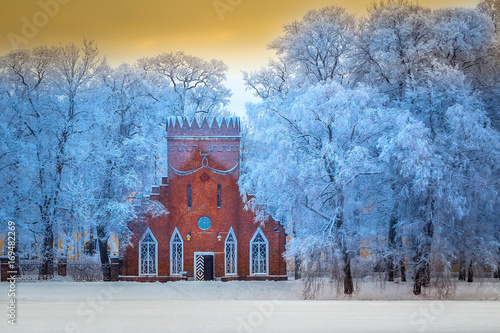 Trees in the hoarfrost. Par...