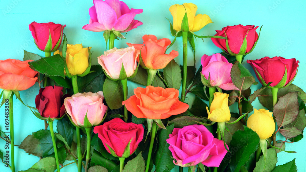 Springtime overhead with beautiful fresh flowers Springtime overhead with beautiful fresh flowers