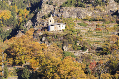 St. Egidio Church with autumn colors. Corzes, Val Venosta, Alto Adige/Sudtirol, Italy, Europe photo